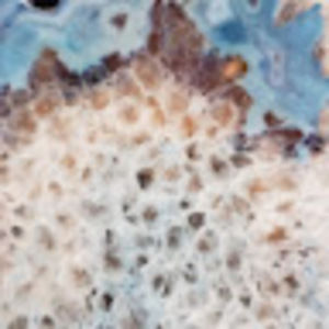 Meet your Posher, Anita